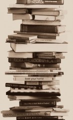 pilha de livros