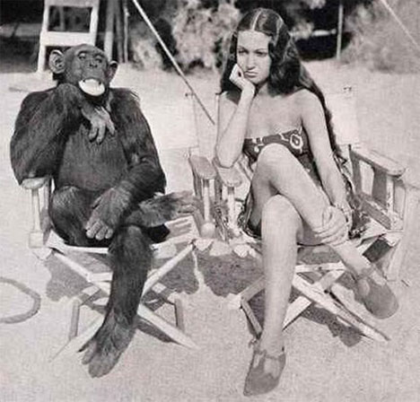 monkey see monkey do - o dilema dos clichês