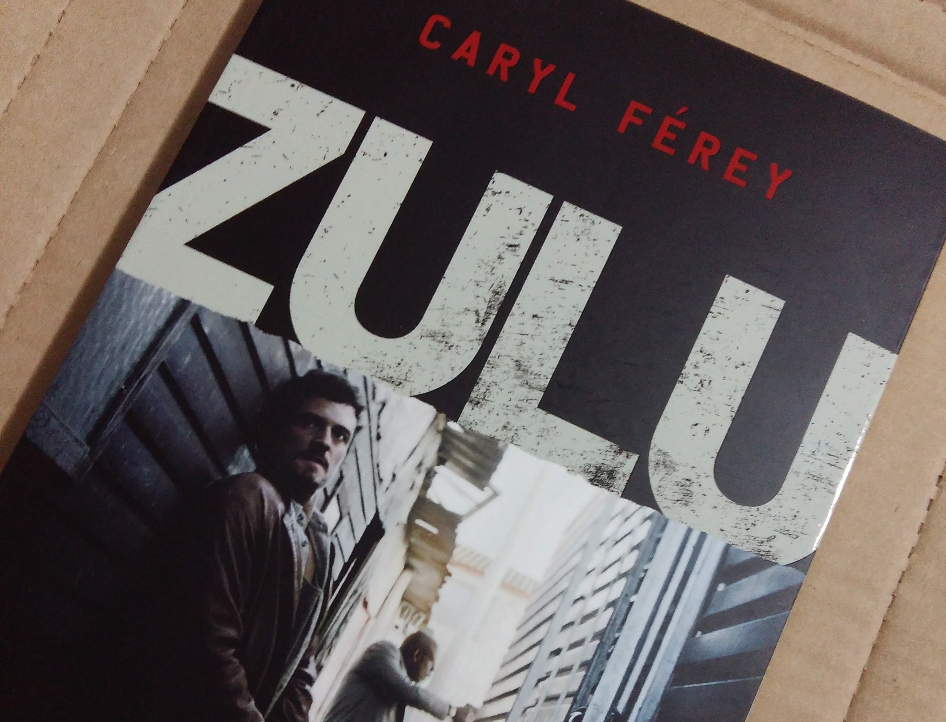 zulu-livro