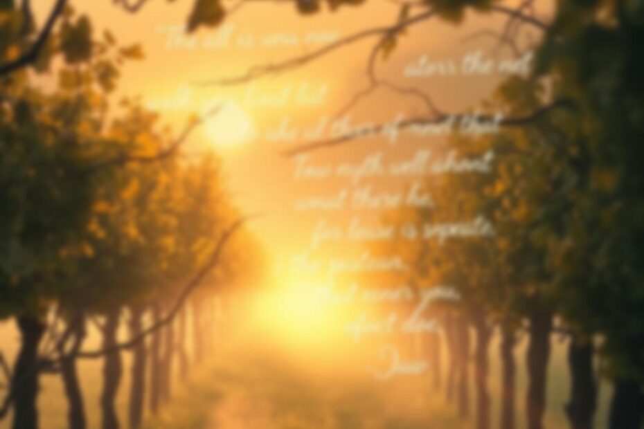 Frases do Livro Vinha de Luz